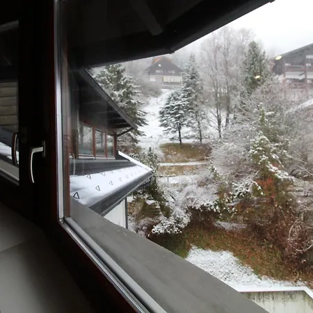 Kelchalm Superior Spacious Mountain Apartment Bad Kleinkirchheim
